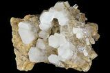 Columnar Calcite Crystal Cluster - China #164004-1